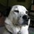 Patty Walls Tupper's profile image