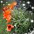 Debbie Buschelman's profile image