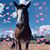 Stephanie Krumm's profile image