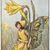 Alice M. Hall Hattenbrün's profile image