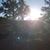 Feather Neu Falcon's profile image