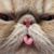 Kaley Jones's profile image