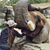 Andi Paige Donahue's profile image