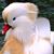 Lori C Branson Bemis's profile image