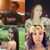 Christina Edwards's profile image