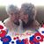 Sandra Large's profile image