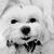 Nancy Harrison's profile image
