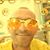 Thierry David Noel's profile image