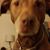 Nancy Ward's profile image