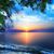 Michelle Signor's profile image