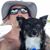 Martin Fowler's profile image