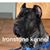 Reggie Ironstone's profile image