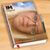 Michelle Heather Losby's profile image