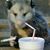 Chris Almaguer's profile image