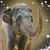 Debbie Flinkman's profile image
