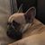 Randi Glossman's profile image