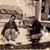 Carla Doyle Stanley's profile image