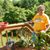 Pat Korb's profile image