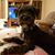 Holly Kuzan Willingham's profile image