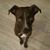 Melissa Lison's profile image