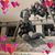 Debra Dillon Arnold's profile image