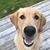 Sandi Schiller Atkinson's profile image