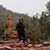 Annette Fontes-Evans's profile image
