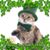 Leo Dresselli's profile image