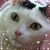 Stephanie G. Metzger's profile image