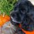 Janie Logeman Balena's profile image