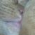Micky Roberts-Ahart's profile image