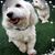 Diane C Apples Villanueva's profile image