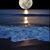 Gail Williams's profile image