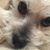 Dede Ballew's profile image