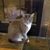 Maggie Patricks Cardinal's profile image