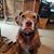 Wendy Brubaker Kauling's profile image