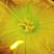 BackYard Preserves's profile image
