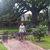 Patricia Nichols's profile image