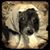 Bríe Hanna's profile image