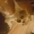 Tansy Stevens's profile image