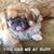 Barbara Manni McKnight's profile image