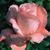 Maria Martinez's profile image