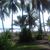Ana Coralia Arriaza Avelar's profile image