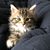 Joshuah Lyons-Tinsley's profile image