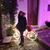 Teresa Desantis's profile image