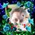 Quaid Jenkins's profile image
