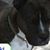 Jeannie Shaffer's profile image