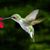 Carolyn Robinson's profile image