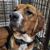 Gerri Holley's profile image