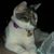 Angela Matthews's profile image
